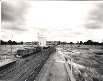 Photograph, 1/01/1971