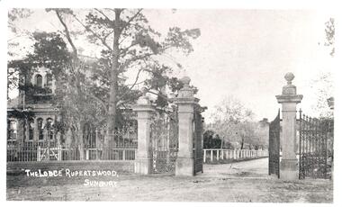 Photograph