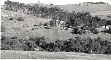 Photograph, 1980s