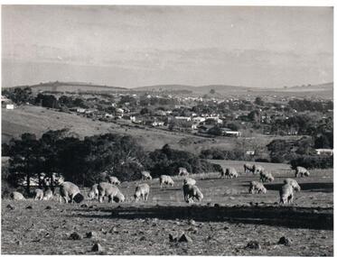 Photograph, Early 1970s