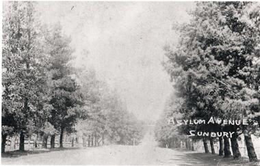 Photograph, Asylum Avenue Sunbury