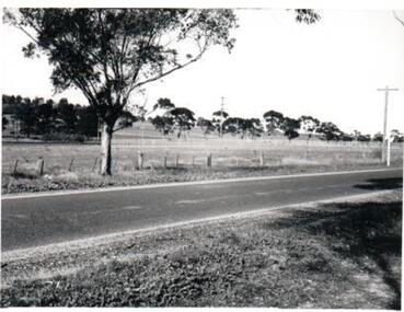 Photograph, c1960s