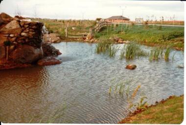 Photograph, c 1978