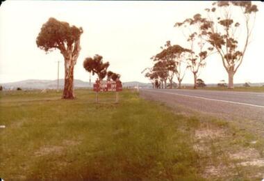 Photograph, 1/08/1980