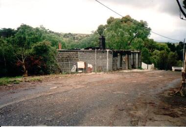 Photograph, 1989