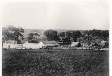 Photograph - Emu Bottom