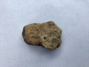 Geological specimen