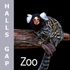 Halls Gap Zoo