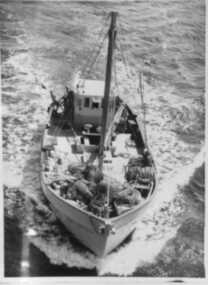 000141 - Photograph - 1960 - Kyeema