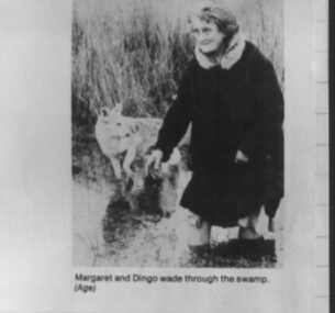 000227 - Photograph - Tarwin Lower - Margaret Clement & Dingo wade through the swamp at Tullaree - Age