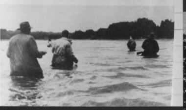 000228 - Photograph - Tarwin Lower - wading through the swamp at Tullaree