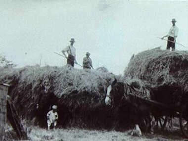 000247 - Photograph - 1900s - Pound Creek - Henderson - Hay making - E Henderson - Reverse side - slightly larger copy of photo