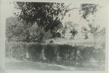 000325 - Photograph - 1966 - Inverloch foreshore from 3 Pymble Avenue - Nancye Durham