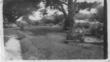 002636 - Photograph - Inverloch - Pine Lodge Garden - Silvyr Powell