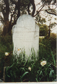 000335 - Photograph - 1998 - Tarwin Lower Cemetery - Captain Ostermann's grave and headstone - captain of the iron barque Magnat - from Nancye Durham
