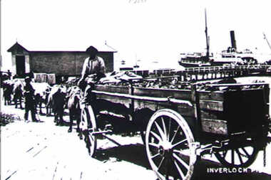 000524 Photograph - 1910 - Loading Coal at Inverloch Pier - D Boston