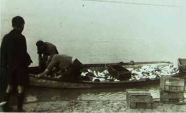 000574 Photograph - Fishing boat full of fish - Jacobson - Ray Irving