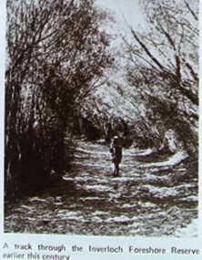 000809B - Photograph - Inverloch - A track through Inverloch foreshore reserve - Lovers Walk - Coastal Retreat - from Nancye Durham (Same as 004253)