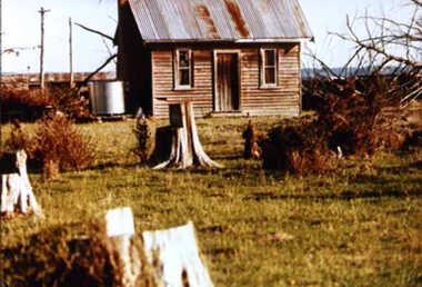 000811 - Photograph - c1950 - Pound Creek - Farm house Henderson's - more recently Price's - Alan Price's parent's farm c1950 -  from Dorothy Beard