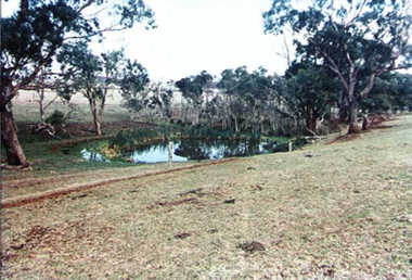 000590 - Photograph - Leongatha South - Watering spring for Bullock Haulage Teams going from Kongwak to Leongatha - from L Cuttriss