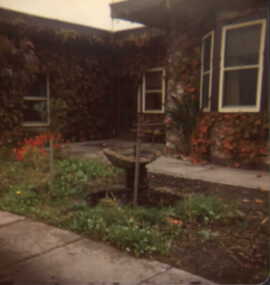 000881 - Photograph - Pine Lodge garden - Inverloch - from E Fitzpatrick