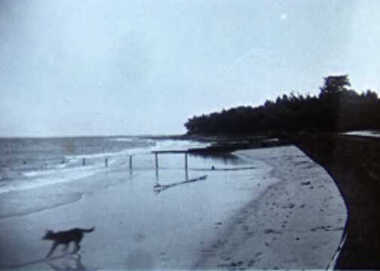 000635 - Photograph - Retaining wall opposite St Kilda St, Wyeth Bay - from Ruth Tipping
