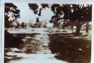 000672 - Photograph - Ramsay Boulevard, Inverloch - Below Pine Lodge - from J Fincher