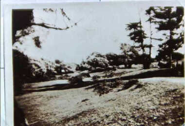 000673 - Photograph - Foreshore, Inverloch - Below Pine Lodge - from J Fincher