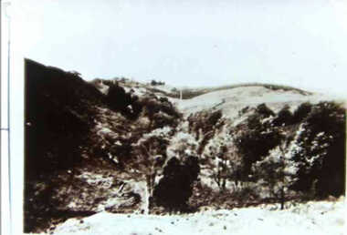 000674 - Photograph - 1929 - Leongatha - Gully from Reservoir - from J Fincher