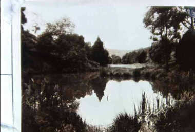 000677 - Photograph - 1929 - Leongatha - Reflections in Overflow of old Reservoir - from J Fincher