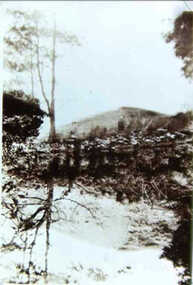 000678 - Photograph - 1929 - Leongatha - Reflections in Overflow of old Reservoir - from J Fincher