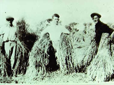 000397 - Photograph - 1937 - Wyeth's farm - Randolph Keith Evans (Ark) - Geoff Muldoon - Bill Evans - from Noelle Green