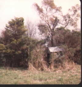 000906 - Photograph - Inverloch - 1985 - Mrs Kate Green's outhouse at 5 A'Beckett St Inverloch - from unknown sourc