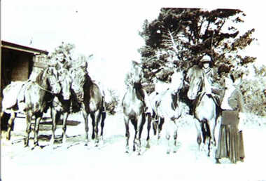000994 - Photograph - Inverloch - Pine Lodge - Horse riding - group at stables - from James Wyeth