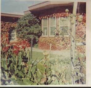 001016 - Photograph - Pine Lodge brick building covered with ivy - from James Wyeth