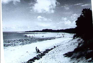001243 - Photograph - Anderson Inlet Beach below Abbott St, Inverloch - from L Bailey