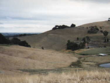 002638 - Photograph - 1997 - Old Outtrim - site of town - Nancye Durham