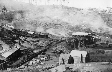 004246 Photograph - Outtrim 1895 - 10 years ago