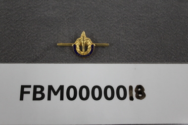 Badge - Pin