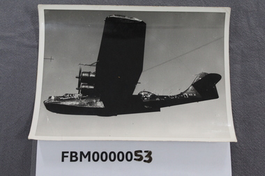 Photograph