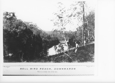 Photograph - Bell Bird Reach, Lake Tyers Victoria  c1880, Caire, Nicholas John
