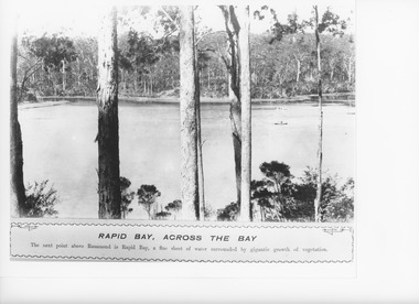 Photograph - Rapid Bay, Lake Tyers Victoria, Caire, Nicholas John, 1905c