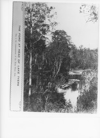 Photograph - Nowa Nowa Arm Lake Tyers Victoria, Caire, Nicholas John, 1905c