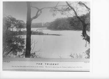 Photograph - Trident Arm Lake Tyers Victoria, Caire, Nicholas John, 1905c