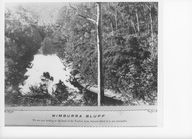 Photograph - Wimburra Bluff, Toorloo Arm Lake Tyers Victoria, Caire, Nicholas John, 1905c