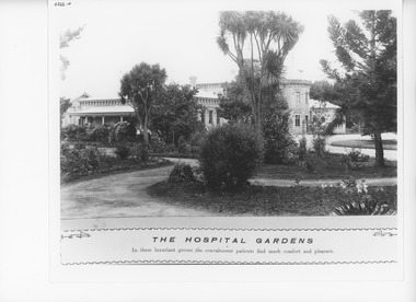 Photograph - Sale Hospital and gardens.Sale Victoria c1905, Caire, Nicholas John, 1905c