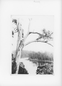 Photograph - Lake Tyers Victoria c1905, Caire, Nicholas John, 1905c