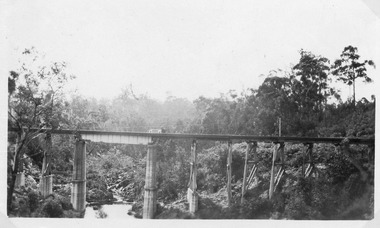 Photograph - Nowa Nowa Gorge. Nowa Nowa Victoria, 1925