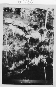 Photograph - Lake Tyers Victoria, c1920