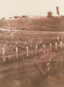Photograph - Merrangbaur House Lakes Entrance Victoria  c1950